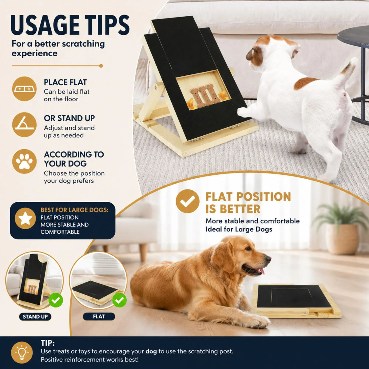 Examples of scratch board positions for dog training