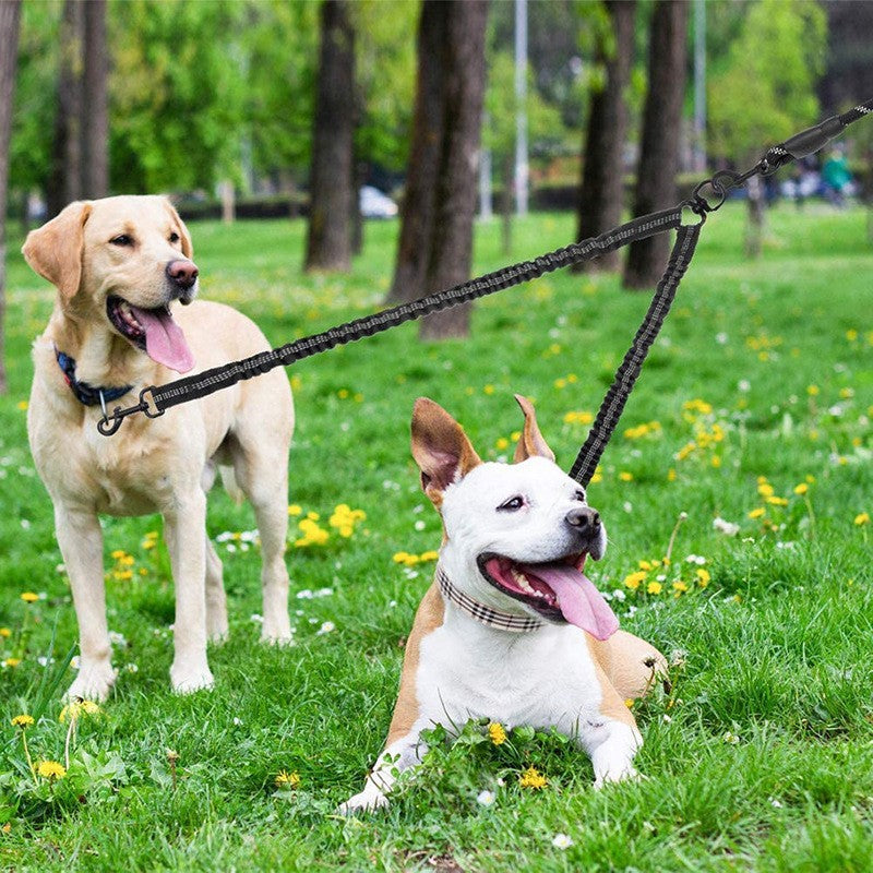 Two dogs being walked using the black splitter lead
