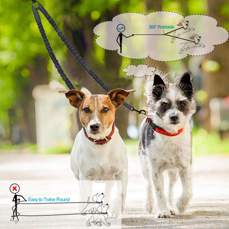 Swivel connection and two clips on the double dog lead