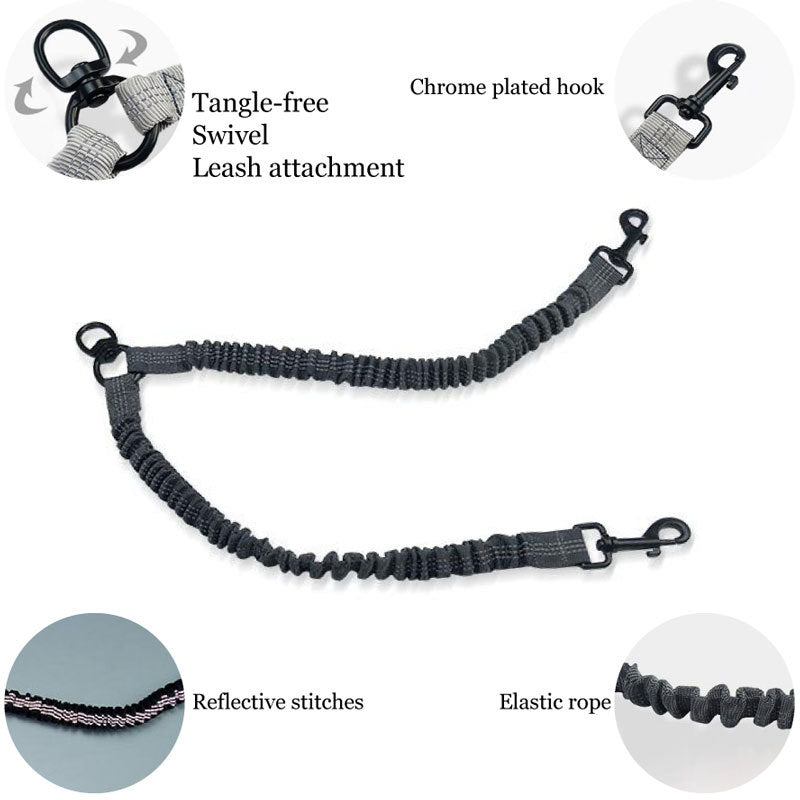 Swivel connection close-up on the black dog lead